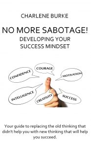 Develop Your Success Mindset cover