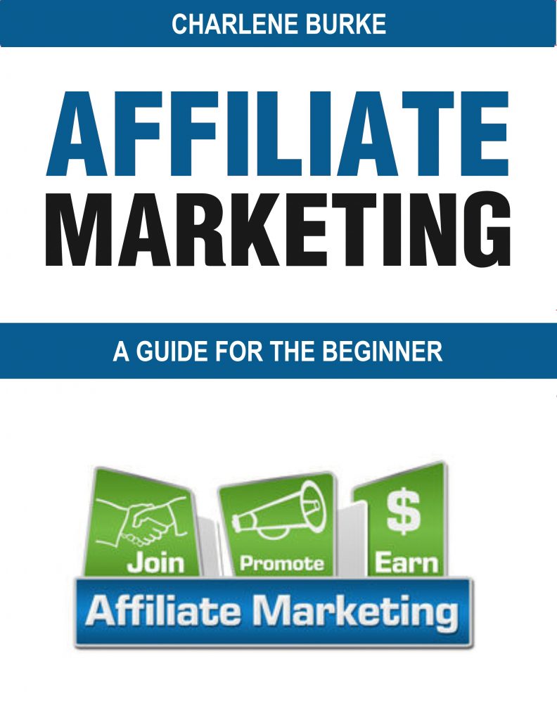 affiliate marketing guide for the beginner